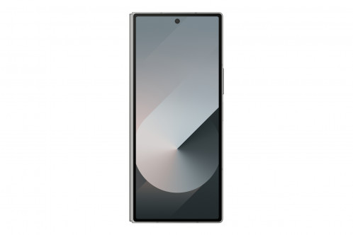 Samsung Galaxy Z Fold6 (256GB) argent 896793-017