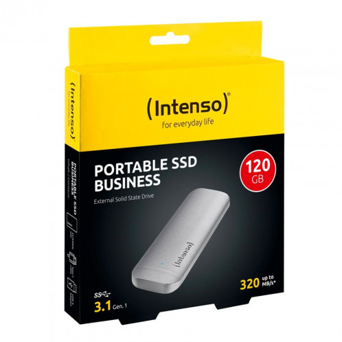 Intenso externe SSD 120GB USB 3.1 Gen.1 Type C Business 591341-06