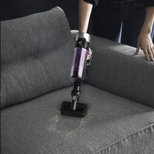 Rowenta RH 2037 X-Force 9.60 Allergie 176481-016