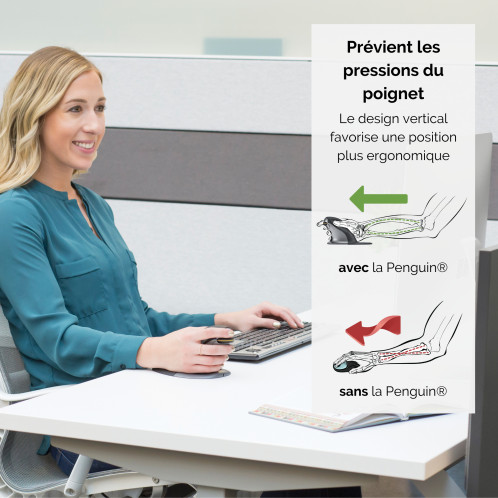 Fellowes Souris verticale S droitier/gaucher sans fil 463017-06