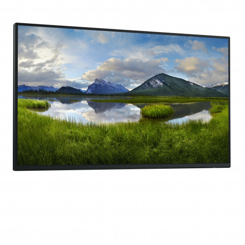 Dell P2425HEWO 880735-06