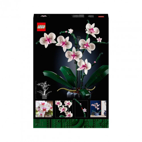 LEGO Creator Expert 10311 Orchidée 689131-06