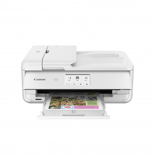 Canon PIXMA TS 9551Ca 891018-010