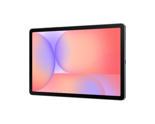 Samsung Galaxy Tab S10 Lite (128GB) 5G gris 246278-010