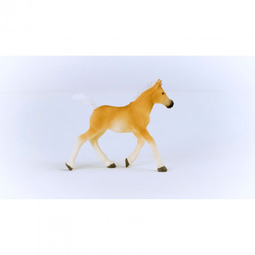 Schleich Club hippique Poulain Haflinger 13951 792647-06