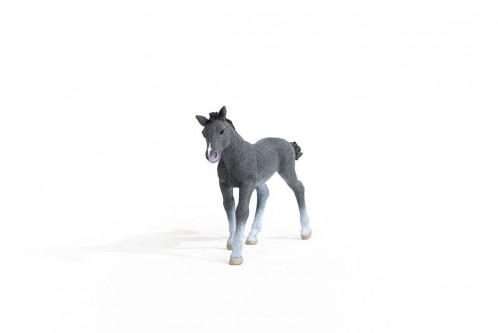 Schleich Club hippique 13944 Poulain Trakehner 696999-06