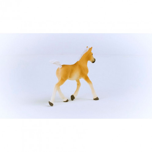 Schleich Club hippique Poulain Haflinger 13951 792647-06