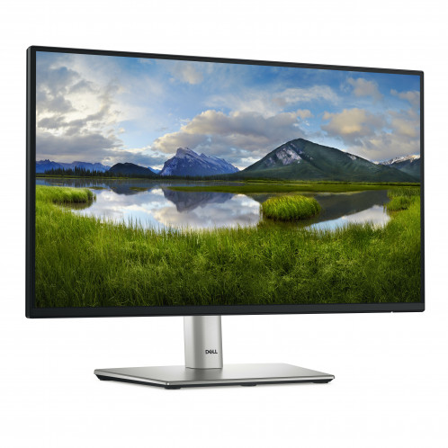 Dell P2225H 880707-012