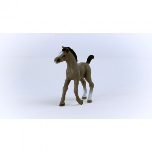 Schleich Club hippique 13957 Poulain Selle Français 792808-06