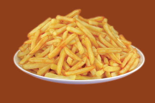 Tefal FR 4800 229471-011