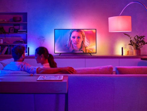 Philips Hue Play Gradient Bande lumineuse LED TV 55 855206-09