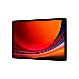 Samsung Galaxy Tab S9+ 5G (256GB) 12GB graphite 822145-07