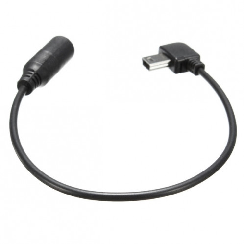 10 pouces Mini USB à 3,5 mm Câble adaptateur pour GoPro HERO3 S156098-05