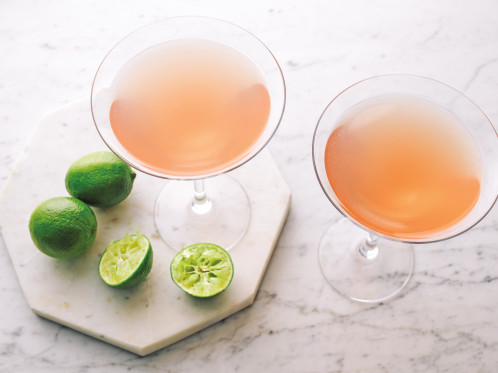 Ninja KT201EU inox, 1,7L 857999-036