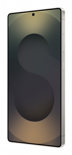Samsung Galaxy S25 Ultra 256GB noir 138436-09
