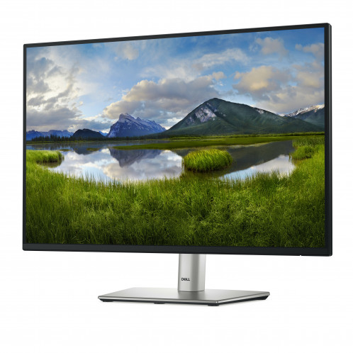 Dell P2425 880714-012