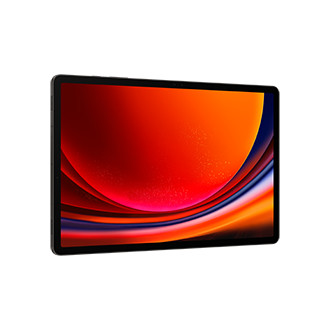 Samsung Galaxy Tab S9+ 5G (256GB) 12GB graphite 822145-07