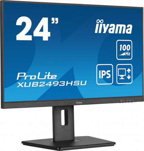 Iiyama ProLite XUB2493HSU-B6 858426-015