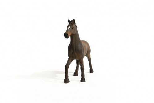Schleich Club hippique 13946 Etalon Oldenbourg 697048-04