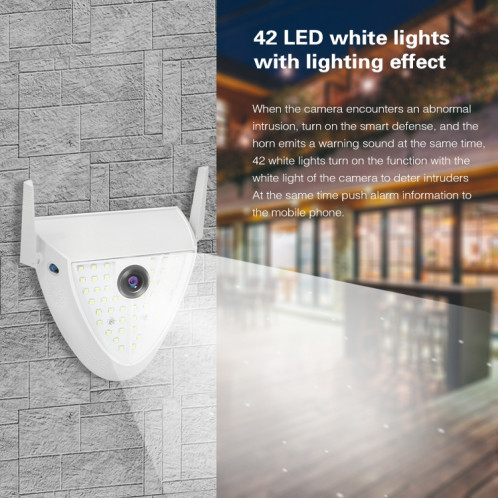 DP16 2.0 MEGAPIXEL 42 LED 42 LEDS Jardin Caméra intelligent, détection de mouvement / vision de nuit / interphone vocale / carte TF, bouchon Au SH20AU277-013
