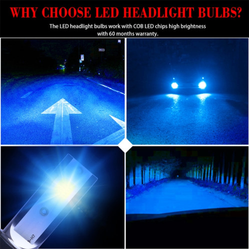 2 PCS H1 DC9-36V / 36W / 8000K / 6000LM IP68 voiture / moto Mini COB LED phares lampes / antibrouillard (lumière bleue glacée) SH43BB409-015