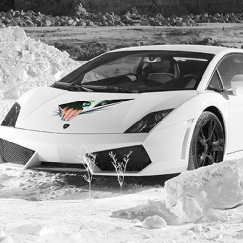 Autocollant de papier de voiture de style horrible de simulation numérique de la caractéristique 3D SH809A1182-05