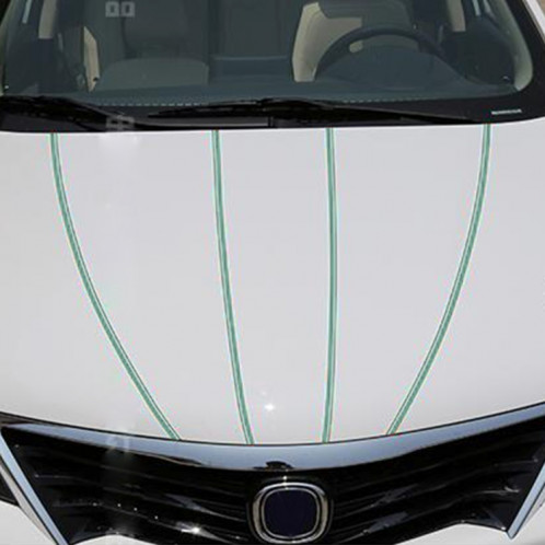 Ligne de ruban décoratif auto-adhésif de voiture de 12 mm × 9,8 m (vert) SH760G796-09