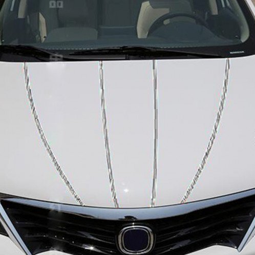 Ligne de ruban de bande décorative auto-adhésive de voiture de 12mm × de 9.8m (Gris) SH760H1246-09