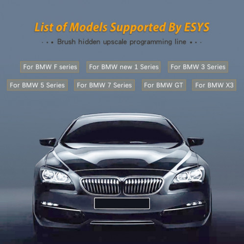 ESYS ENET pour ICOM BMW F-Series avec un ensemble complet de CD V50.3 Câble caché de brosse de voiture SH45761710-09