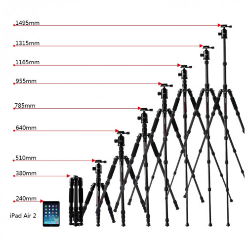 Trépied portable réglable en fibre de carbone TRIOPO T259G + Q2 avec rotule Q-2 pour appareil photo reflex ST11701753-08