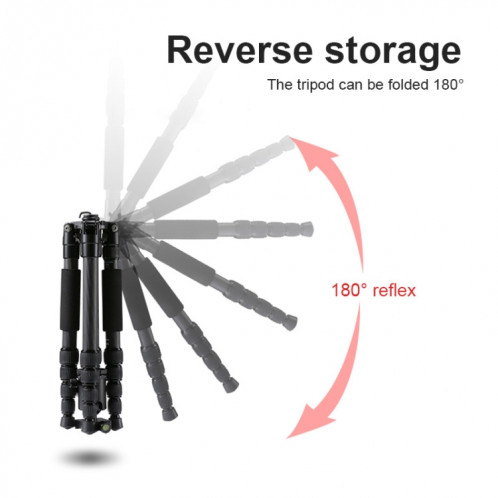 Trépied portable réglable en fibre de carbone TRIOPO T259G + Q2 avec rotule Q-2 pour appareil photo reflex ST11701753-08