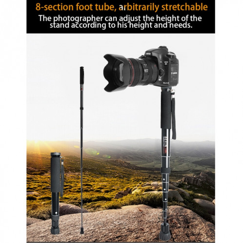 BEXIN P308 Support de monopode en alliage d'aluminium pour appareil photo reflex numérique portable de voyage extérieur (noir) SB208B1094-09