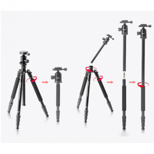 Monopod Triopo T258 en alliage d'aluminium avec tête de boule D2 (Noir) ST562B1655-08