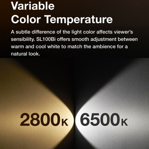 Godox SL100BI 100W 2800-6500K Lumière LED Studio Lumière vidéo continue () SG90EU1119-07
