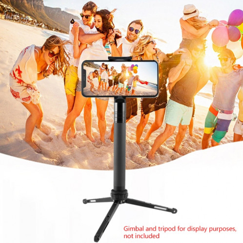 BEXIN P275A Rallonge en Alliage d'Aluminium Selfie Stick Extender, Longueur: 19cm-73cm SB2085338-06