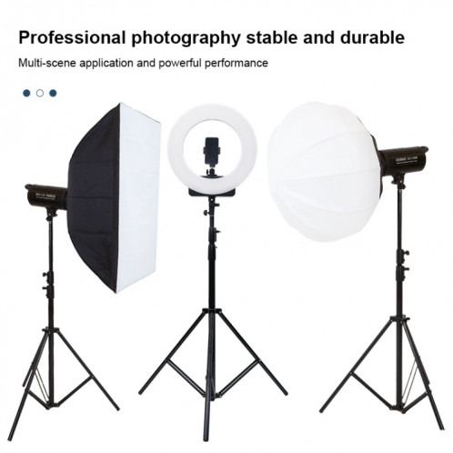 TRIOPO 2.2m hauteur support de support d'éclairage en métal pour photographie professionnelle pour lampe flash de studio ST2165364-08