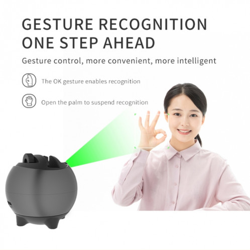 Q9 Al Gesture Recognition Two Axis Follow-up Cloud Platform (Gold) SH248J1682-011