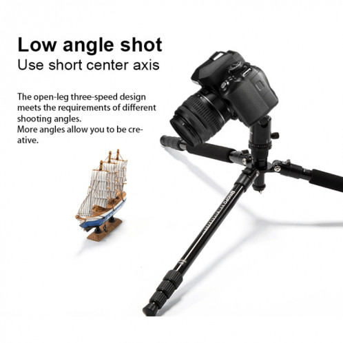 TRIOPO M2508 monopode multifonction réglable en alliage d'aluminium portable à 4 sections avec tête sphérique D-2A pour appareil photo reflex ST3125654-012