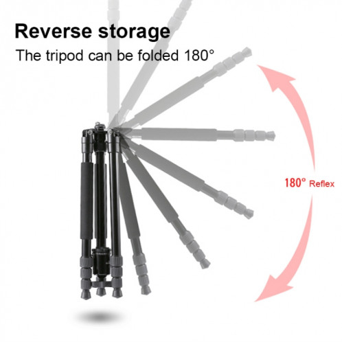 TRIOPO M2508 monopode multifonction réglable en alliage d'aluminium portable à 4 sections avec tête sphérique D-2A pour appareil photo reflex ST3125654-012