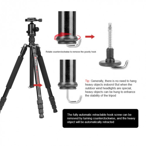 TRIOPO M2508 monopode multifonction réglable en alliage d'aluminium portable à 4 sections avec tête sphérique D-2A pour appareil photo reflex ST3125654-012