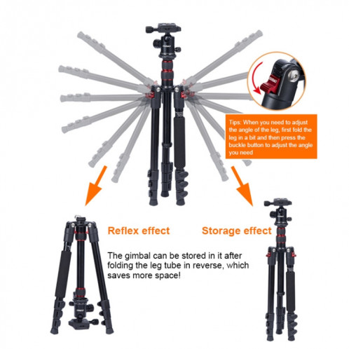 TRIPO K2508S + B1S Trépied d'alliage d'aluminium portable réglable avec tête de boule pour caméra SLR (or) ST245J1813-08