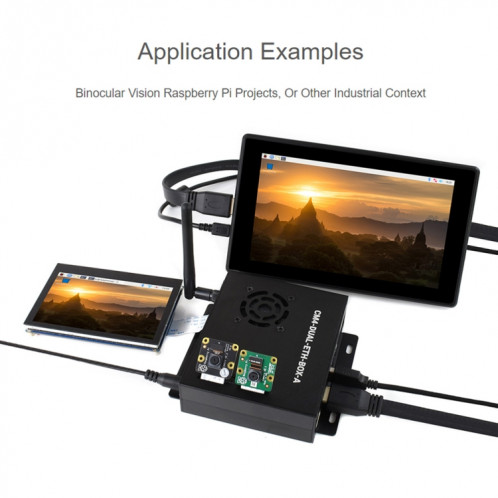 WAVESHARE DUAL GIGABIT Ethernet Mini-Ordinateur avec caisse en métal et ventilateur de refroidissement pour la framboise PI CM4 () SW77EU1951-09