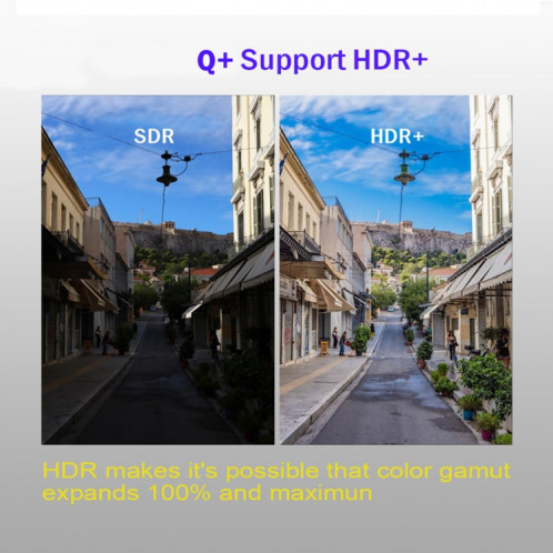 Q + 6K HD Smart TV BOX, Android 8.1, H6 Quad Core Cortex-A53 jusqu'à 2 GHz, 4 Go + 64 Go, prise en charge SPDIF, HDMI, WiFi, LAN, USBx2 (noir) SH617B155-016