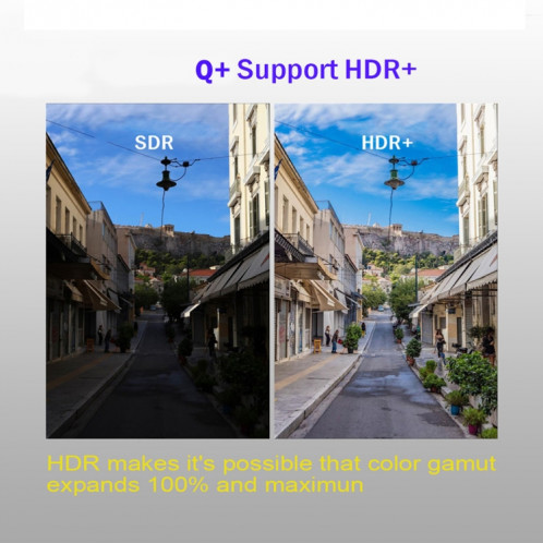 Q + 6K HD Smart TV BOX, Android 8.1, H6 Quad Core Cortex-A53 jusqu'à 2 GHz, 2 Go + 16 Go, prise en charge SPDIF, HDMI, WiFi, LAN, USBx2 (noir) SH618B1012-014