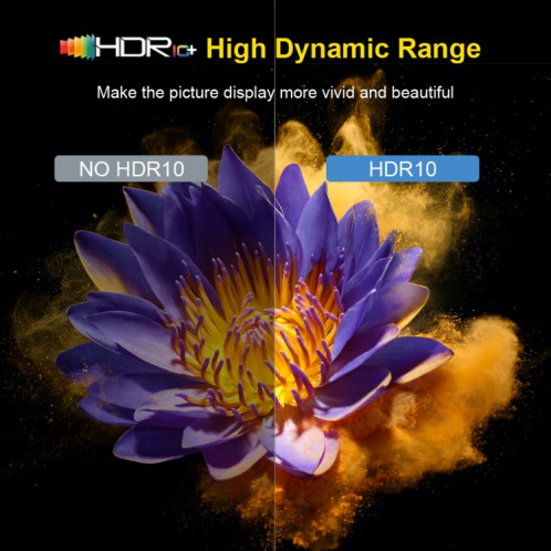 HK1 RBOX-H8S 4K Ultra HD Android 12.0 Smart TV Box avec télécommande, Allwinner H618 Quad-Core, 4 Go + 64 Go (prise UE) SH11EU1393-011