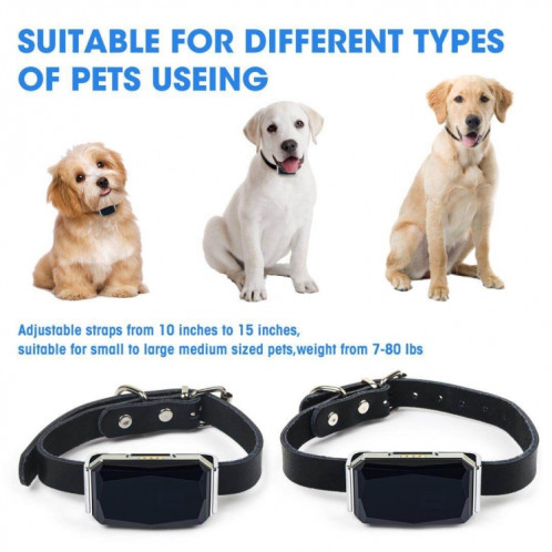Localisateur de chien de traqueur GPS étanche pour animaux de compagnie G06 IP67 SH0562450-012