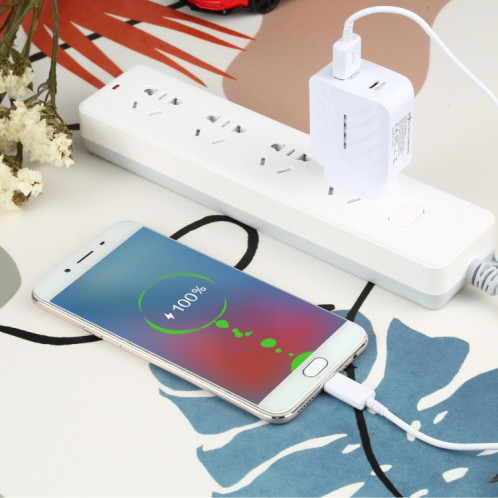LZ-822A + C PD 20W USB-C / TYPE-C + QC 3.0 Chargeur de voyage rapide USB, USB SH2801128-06