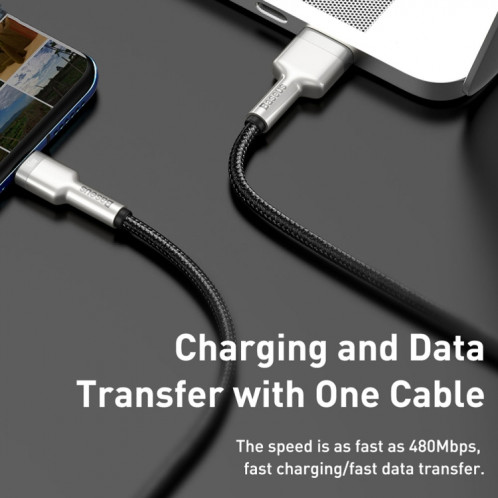 BASEUS CAKF000001 CAFÉRÉE CAFE 66W USB au câble de données en métal USB-C / C / C / CABLE DE TYPE: 0,25M SB903A987-07