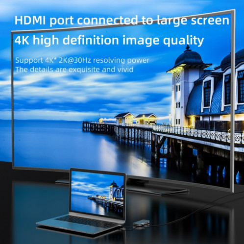 BL10V 10 en 1 USB-C / TYPE-C à RJ45 + VGA + HDMI + 3,5 mm Aux + SD / TF Slot + SD / TF + PD USB-C / TYPE-C + USB 3.0 + 2 ports USB 2.0 Ports Hub SB83881807-09