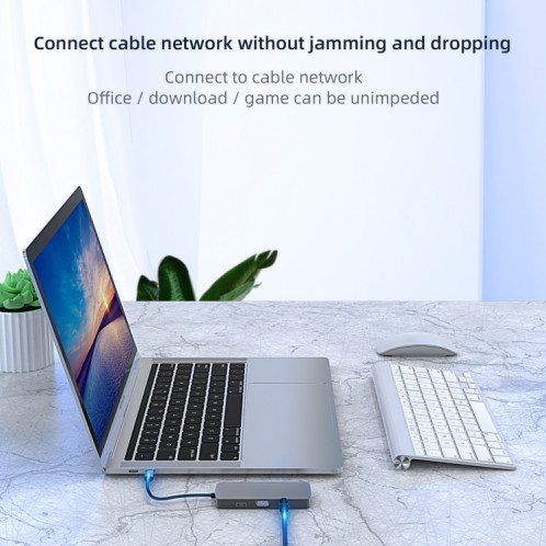 BL10V 10 en 1 USB-C / TYPE-C à RJ45 + VGA + HDMI + 3,5 mm Aux + SD / TF Slot + SD / TF + PD USB-C / TYPE-C + USB 3.0 + 2 ports USB 2.0 Ports Hub SB83881807-09